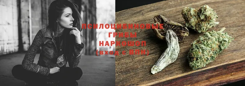 Псилоцибиновые грибы Magic Shrooms  купить наркотики цена  Бавлы 